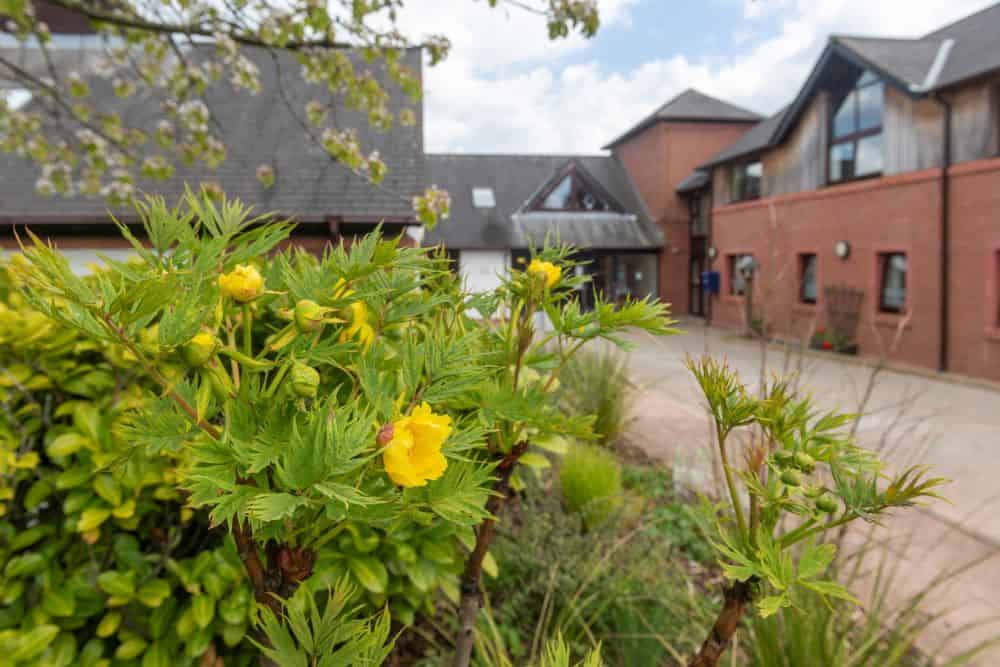 The hospice gardens with flowers on show.